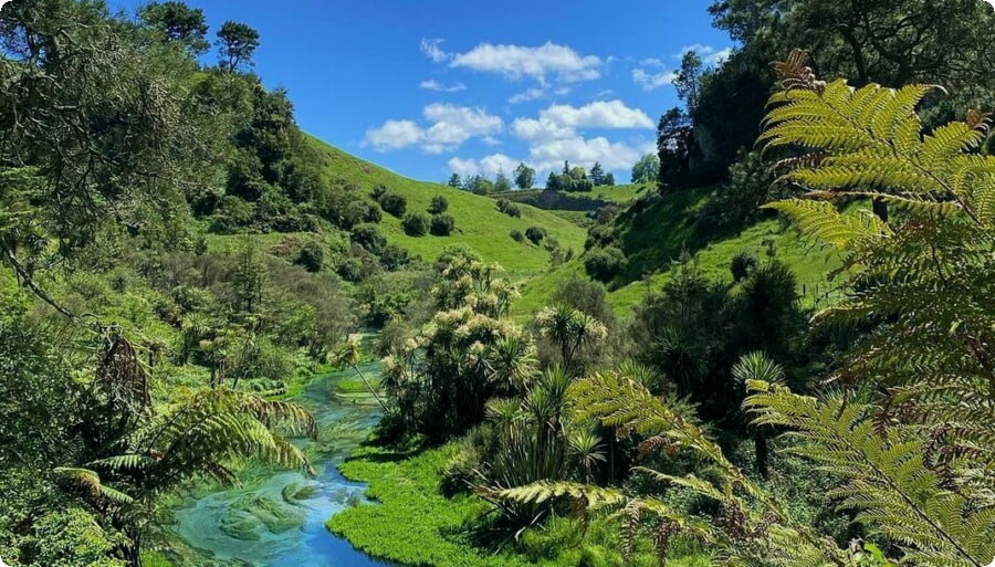 Plan je droomreis naar Nieuw-Zeeland