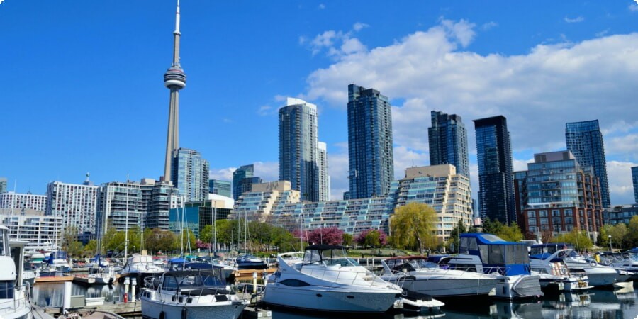 De ultieme Toronto-ervaring: uw go-to-lijst voor dingen om te doen in de stad