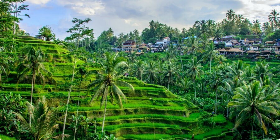 Ubud's Diverse Attractions