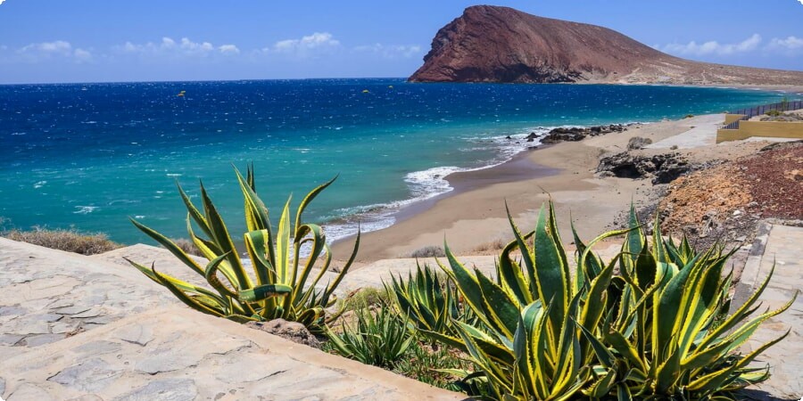 Experience Tenerife