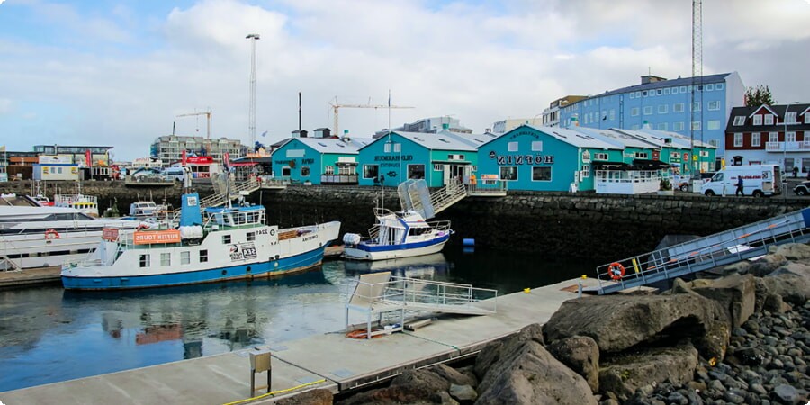 Reykjavik in Focus