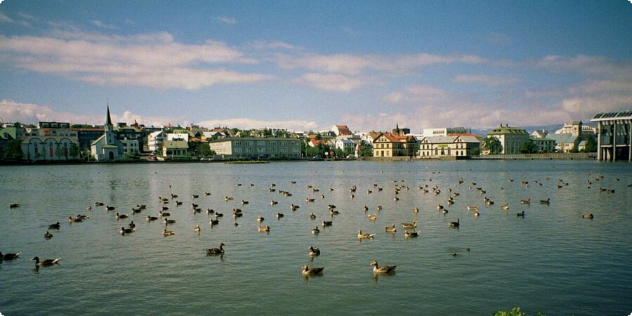 Reykjavik in Focus