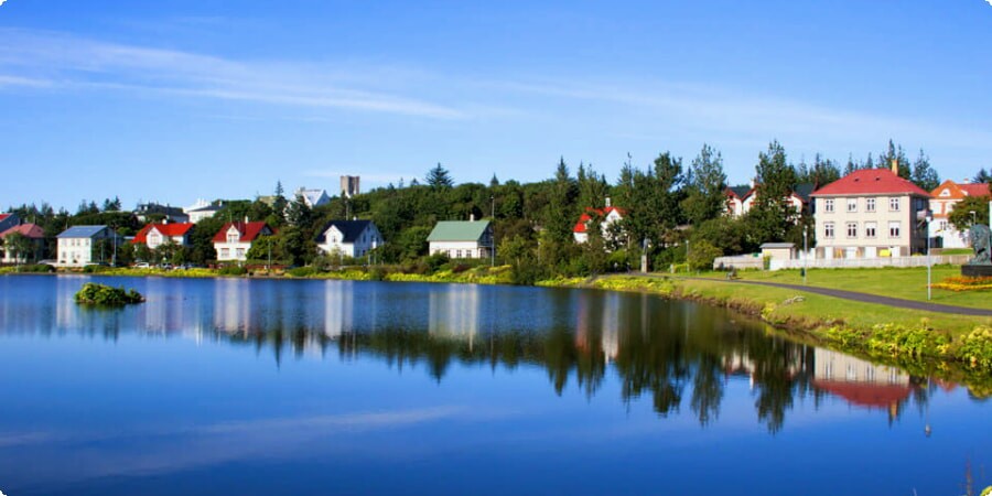 Reykjavik in Focus