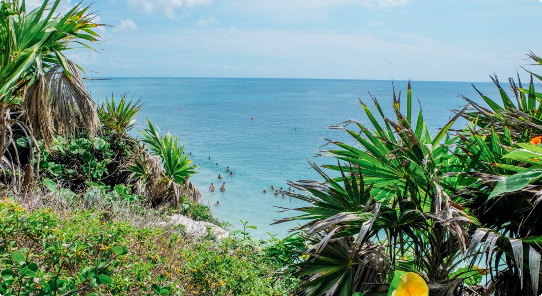 Cancun Nature