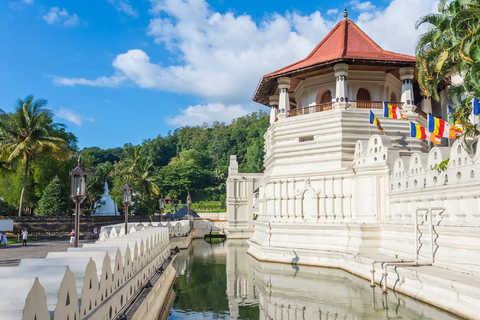 Recorridos turísticos en Kandy