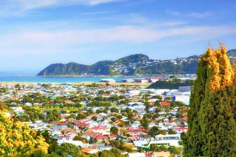 Wellington şehrindeki turistik geziler