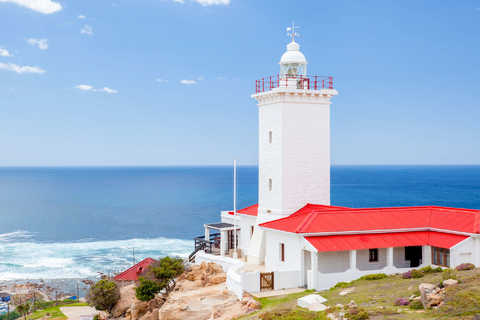 Guidede ture i Mossel Bay