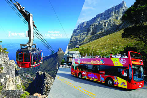 Sightseeing tours in Cape Town