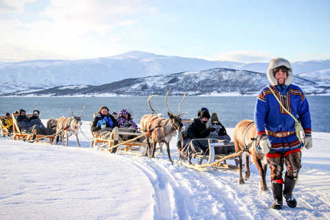 Tromsø şehrindeki turistik geziler