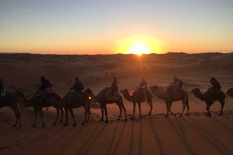 Day trips in Zagora with local guides
